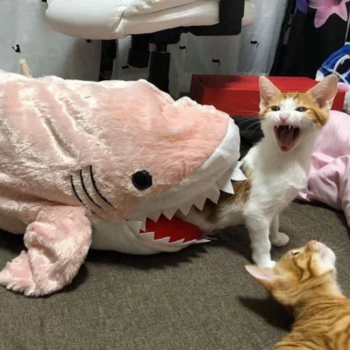 комнатный игрушка кошачьи