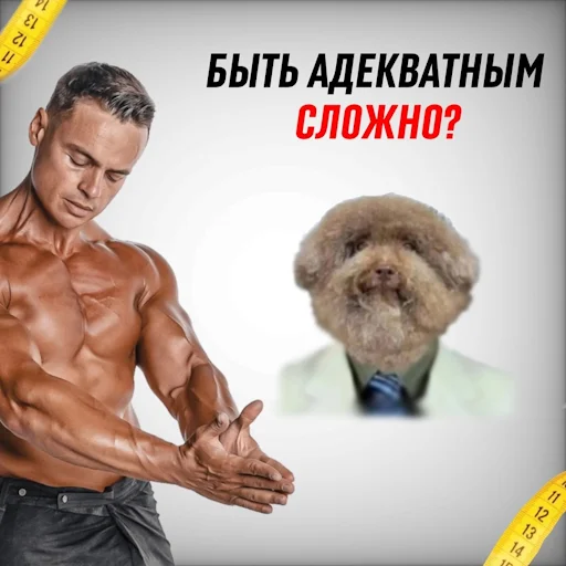 СМС мужчина Человек