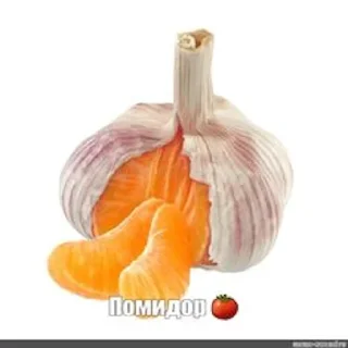 фрукт натуральные продукты апельсин