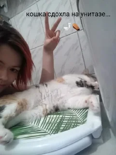 Sticker bitches pack - 6