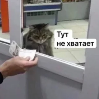 Sticker кукарена - 6