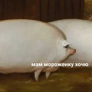 Sticker кукарена - 1