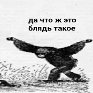 Sticker кукарена - 5