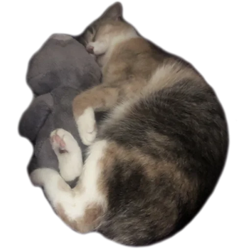 Sticker kukutulu - 1