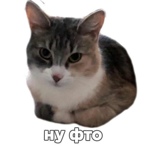 Sticker kukutulu - 1