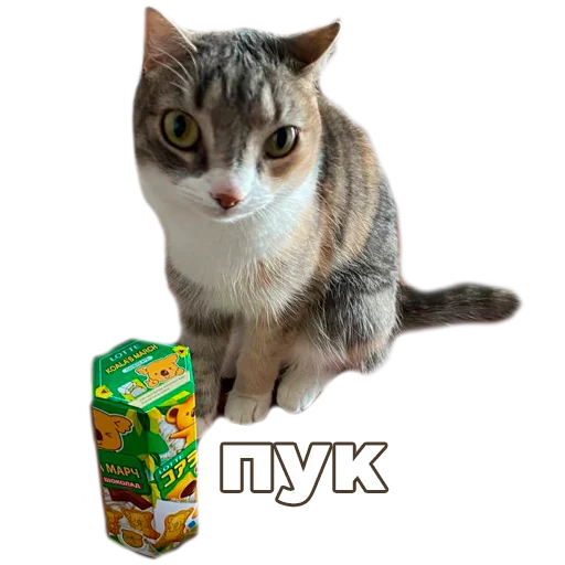 Sticker kukutulu - 1