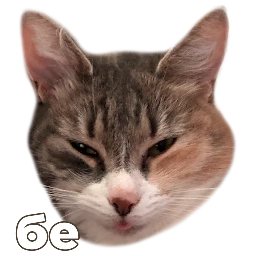 Sticker kukutulu - 1