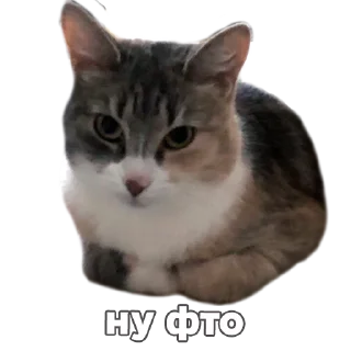 Стикер Кукусик и Тулузик - 3