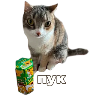 Стикер Кукусик и Тулузик - 2