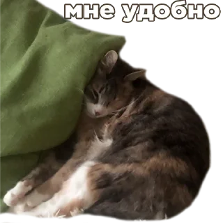 Стикер Кукусик и Тулузик - 6