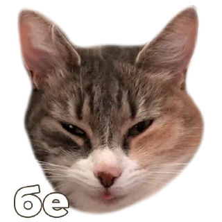 Стикер Кукусик и Тулузик - 0