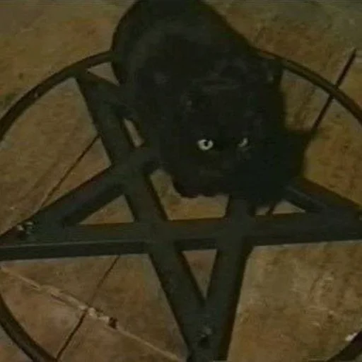 Sticker мать кукушки :: @fStikBot - 0