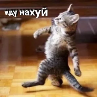 Sticker KulBlaaa  By::Umrbek okang - 10