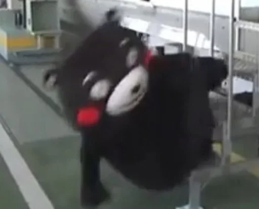 indoor cartoon panda