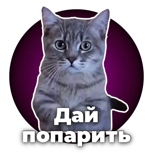 Sticker kumarvape - 1