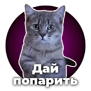Sticker Хороший кумар - 5