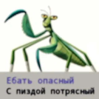 Стикер kung-fu - 3