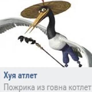 Стикер kung-fu - 6