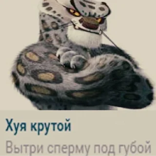 Стикер kung-fu - 9