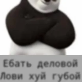 Стикер kung-fu - 1