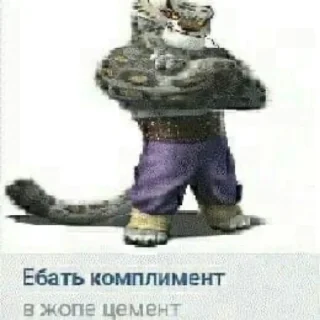 Стикер kung-fu - 11