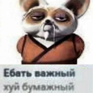 Стикер kung-fu - 8