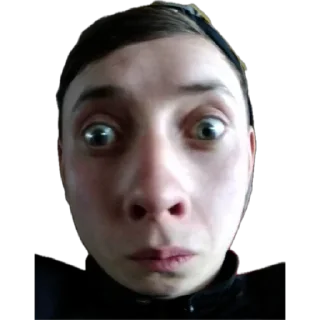 Стикер стая - 4