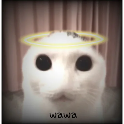 Sticker kuropotik - 1