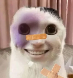 Sticker kuropotik - 10