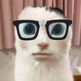 Sticker kuropotik - 7