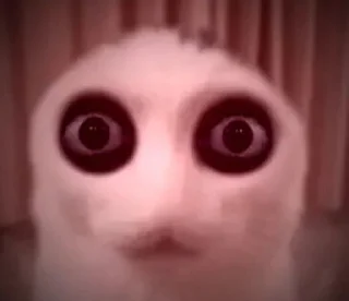 Sticker kuropotik - 8