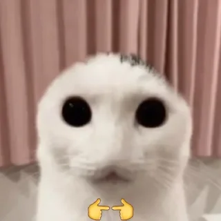 Sticker kuropotik - 9