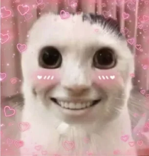 Sticker kuropotik - 2