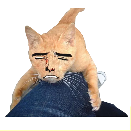 Sticker yaranaika - 9