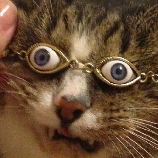 Sticker коты - 9