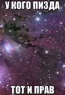 Sticker черный чаек гнида - 3