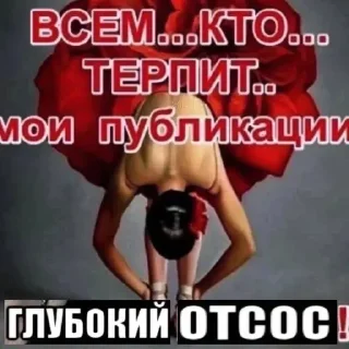 Sticker черный чаек гнида - 6