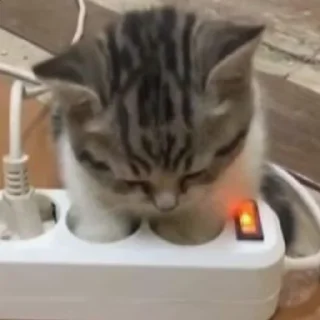 Sticker ♨️ шмотки вб - @heavygodd - 2