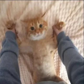 Sticker ♨️ шмотки вб - @heavygodd - 0