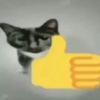 Sticker ♨️ шмотки вб - @heavygodd - 8