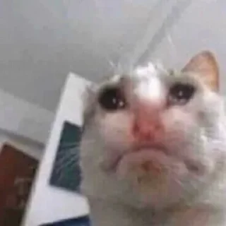 Sticker ♨️ шмотки вб - @heavygodd - 11