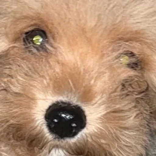 Больше стикеров 👉🏻 @stickertg4 - 