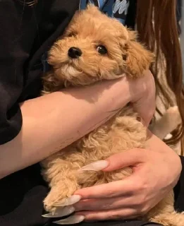 Sticker Больше стикеров 👉🏻 @stickertg4 - 7