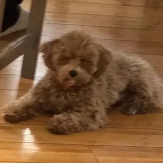 Sticker Больше стикеров 👉🏻 @stickertg4 - 5