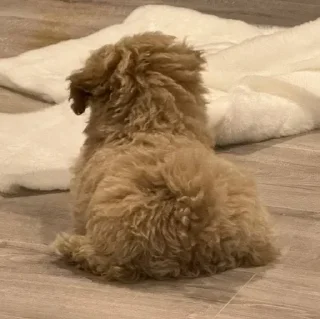 Sticker Больше стикеров 👉🏻 @stickertg4 - 6