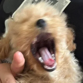 Sticker Больше стикеров 👉🏻 @stickertg4 - 8