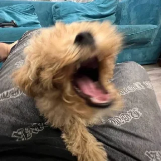 Sticker Больше стикеров 👉🏻 @stickertg4 - 0