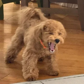 Sticker Больше стикеров 👉🏻 @stickertg4 - 11