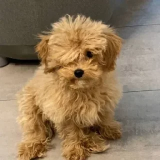 Sticker Больше стикеров 👉🏻 @stickertg4 - 2