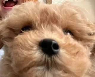 Sticker Больше стикеров 👉🏻 @stickertg4 - 9